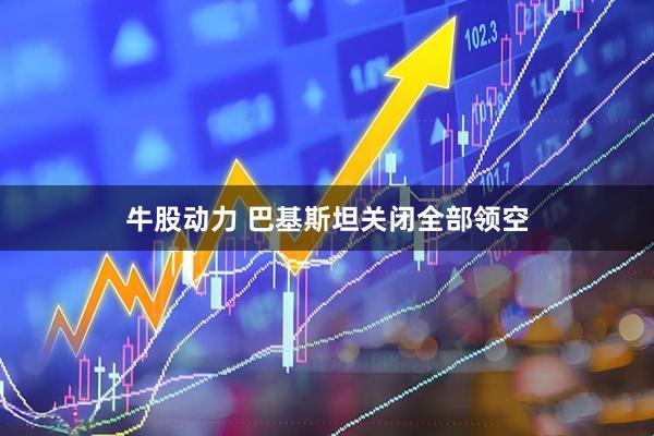 牛股动力 巴基斯坦关闭全部领空