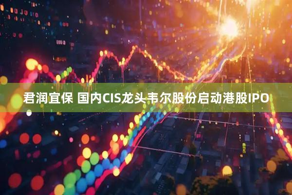 君润宜保 国内CIS龙头韦尔股份启动港股IPO