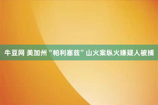牛豆网 美加州“帕利塞兹”山火案纵火嫌疑人被捕
