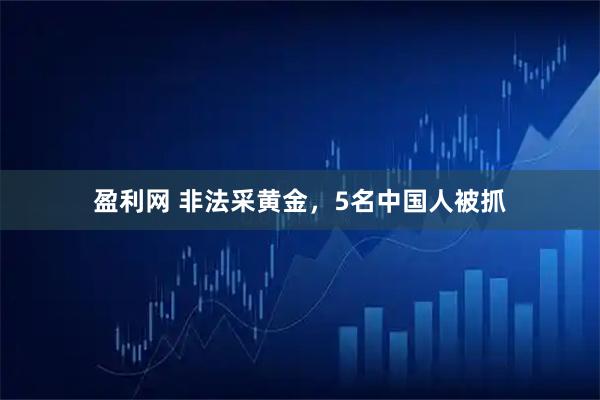 盈利网 非法采黄金，5名中国人被抓